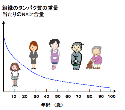 がんの統合医療とは:生体防御力の向上