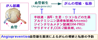 血管新生阻害剤の既知の副作用には何がありますか?