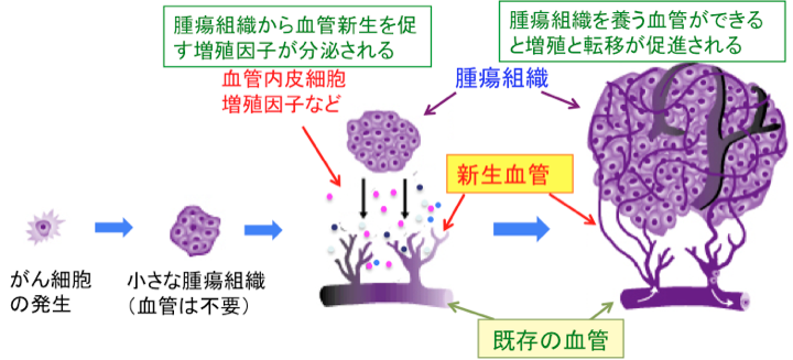 血管新生阻害剤はどのような種類のがんに使用されていますか?
