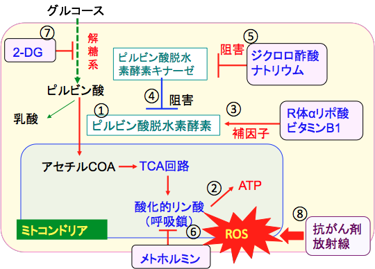 がん細胞の抗がん剤感受性を高める方法