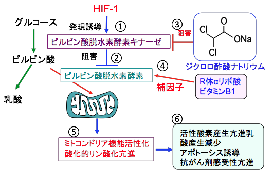 がん細胞の抗がん剤感受性を高める方法