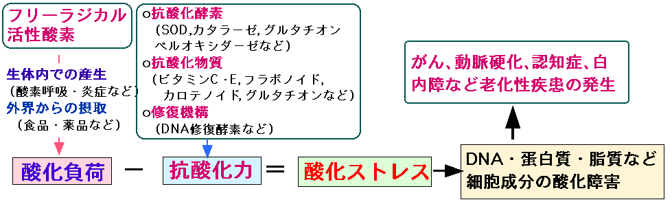 ストレス と は 酸化