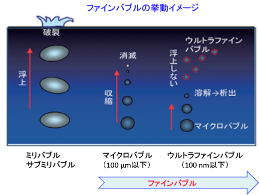 がん細胞のシスプラチン抵抗性