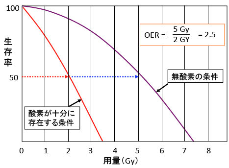 抗がん剤耐性のメカニズム